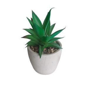 Faux‎ concrete cactus
